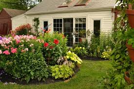 Phlox And Oriental Lilies Add Fragrance Color Height Drama To Garden Planting Flowers Oriental Lily Garden Design