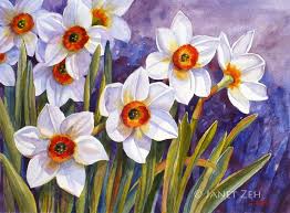 Narcissus Flower Daffodil Original Watercolor Painting Original Watercolor Art Floral Watercolor Flower Painting
