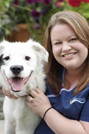 About Our Veterinary Hospital in Maplewood
