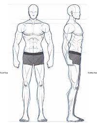 Drawing The Stereotypical Male Body Draw With Jazza Creating Characters Boo Drawings Art Art Male Body Drawing Human Body Drawing Body Drawing