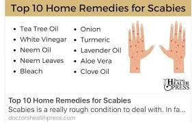 Top 10 Home Remedies For Scabies Scabies Are Very Contagious Extremely Difficult To Treat Exhaustin Home Remedies For Scabies Top 10 Home Remedies Scabies
