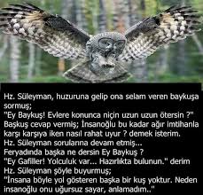 Cey Yakar Adli Kullanicinin En Sevdigim Hayvan Panosundaki Pin 2020 Dualar Ozlu Sozler Gercekler