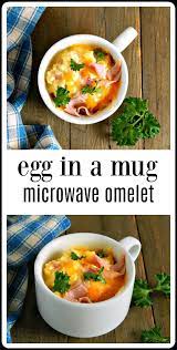 So Fun So Fast So Easy Egg In A Mug Microwave Omelets Are The Answer To Just About Every Microwave Recipes Breakfast Microwave Breakfast Microwave Recipes