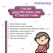 Hal Unik Yang Dialami Janin Di Trimester Kedua Kehamilan Kehamilan Sehat Jenis