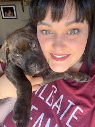 Red River Valley Cane Corso