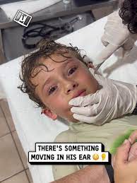 Poor kid!! 😳🦀 🎥: Kitzia Mitre via Storyful #UNILAD #unilad #ohno #c... | crabs | TikTok