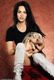 Fox appeared on monday's jimmy kimmel. Megan Fox And Her Vietnamese Pot Belly Pig Megan Fox Pictures Megan Fox Pets