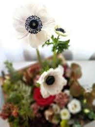 Can the net harness a bunch of volunteers to help bring books in the public domain to life through podcasting? 14 Hannah S Favorite Flowers Ideas Flowers Floral Floral Preservation