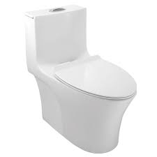 3.soft close toilet seat cover, keep quiet. Ornamix Single Piece Toilet Seat And Cistern S Trap 300mm Jaquar