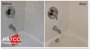 How To Clean And Remove Mold In A Ceramic Tile Shower Shower Mold Cleaning Shower Mold Shower Cleaner