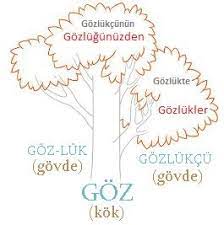 kokkokler bir dili olusturan anlamli en kucuk ve en onemli birimdir sozcuk yapisi ile ilgili k turk dilleri ortaokul rehber ogretmen