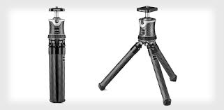 Image result for Tripogon minimus