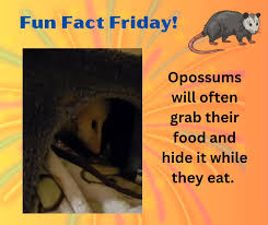 My guess? Grapes! 🍇 🍇 🍇