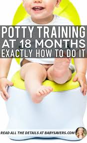 You Can Potty Train At 18 Months Potty Training Tips For Boys And Girls Especially How Boy Potty Training Tips Potty Training Boys Age Potty Training Girls