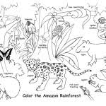 It's that intangible ingredient that designers strive to include when creating interactions. Habitats Biomes Coloring Nature