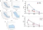 The natural history and genotype–phenotype correlations of TMPRSS3 ...