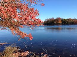 The park, established in 1926 had been owned by august belmont and served as farmland for some of belmont's equestrian activities. Chill Brings Fall Colors To Belmont Lake State Park Deer Park Ny Patch