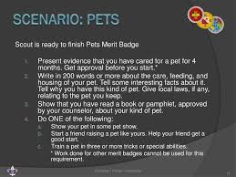 Check out our pet merit badge selection for the very best in unique or custom, handmade pieces from our shops. Ppt Ward Merit Badge Counselor Training Powerpoint Presentation Free Download Id 5488152