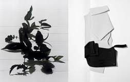 On family feeding into work. Scheltens Abbenes Unfolded Nowness