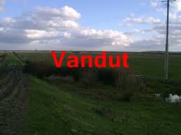 Sour a vendre un terrain agricole avec les papiers acte de propriété + livret foncier + arbres fruitiers+ un puit. Teren Agricol 500 Ha Compact Si Comasat In Jud Bihor Casa Pronto