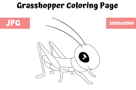 Make a coloring book with grasshopper page for one click. Coloring Page For Kids Grasshopper Graphic By Mybeautifulfiles Creative Fabrica