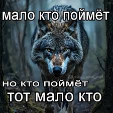  Нейронный волк | Ауф мемы  | Ауффни в комментах если понял А кто  не понял, тот поймёт  и не забудь подписаться на телегу, ссылка в шапке  профиля | Instagram