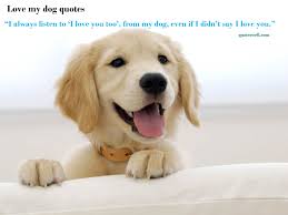 You can change the color of the walls anytime, and it might look different, but the. Free Download Sat 14 Mar 2015 1600x1200 Dog Quotes Desktop Wallpapers 1600x1200 For Your Desktop Mobile Tablet Explore 24 Animal Quotes Wallpapers Animal Quotes Wallpapers Animal Background Animal Wallpapers
