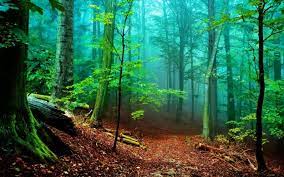 Find & download free graphic resources for nature wallpaper. 30 Free Nature Wallpapers Hd Creatives Wall