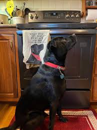 Download coldnessinmyheart photos featuring funny cocks and best free porn in high quality from r34 futanari shemale libraries