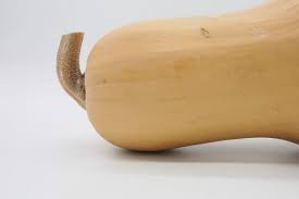 Can you substitute butternut squash for zucchini. Harvest Abundant Squash For Food Decoration University Of Illinois Extension