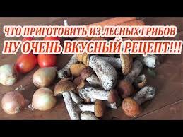 икра из опят с луком и морковью и чесноком Kak Prigotovit Samuyu Vkusnuyu Gribnuyu Ikru Na Zimu Dlya Vas Recepty Ikry Iz Opyat Gruzdej Maslyat Podberyozovikov Podtopolnikov S Morkovyu Griby Recepty Ikra