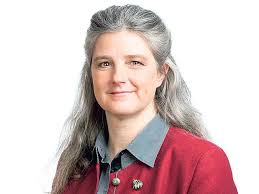 Nachrichten aus Niederösterreich