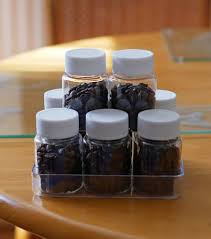 Find organic & bulk coffee beans among our selection of top brands. Single Dosing Storage What Are You Using Coffee Lounge Coffee Forums Uk