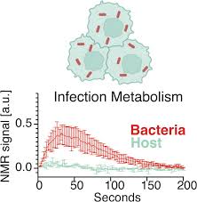 Image result for Intracellular Bacteria