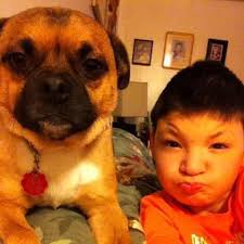 HAPPY HOMES STORY** ***Featuring Roger (formerly Chandler):*** Roger found  every cozy place in our home within the first day. His favorite things are  soft blankets, ear scratches, and being as close as