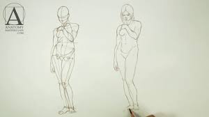 Copyright 2019 anatomy360 site development by the ecommerce seo leaders | all rights reserved. Female Anatomy Anatomy Lesson For Artists Youtube