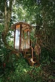 Rainforest Shower Outside Showers Outdoor Shower Garden Shower