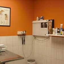 Provides ongoing pediatric care in the doctor's office, clinic and hospital. Chicago Pet Clinic 11 Photos 110 Reviews Veterinarians 3510 N Cicero Ave Portage Park Chicago Il Phone Number