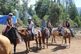 Skylake Yosemite Camp United States California Wishon Kampspire
