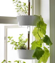 Table top herb garden from. Rejoignez Le Mouvement De Jardinage Urbain Ikea Plants Wall Planters Indoor Hanging Planters