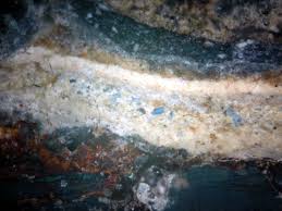 Pin Op Good Paint Cross Sections