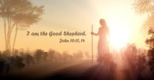 Do Good Shepherds Break the Legs of Sheep Who Wander? | Messianic ...