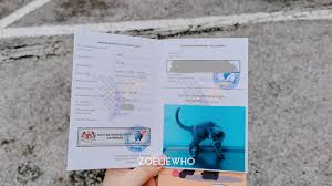 Pengarah jabatan perkhidmatan veterinar negeri selangor lot 2 jalan utas 15/7 40630 shah alam selangor. Getting A Petpassport For Luna It S Zoelie Her Blog