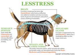 Lesstress For Dogs