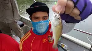 Trip Memancing 5 Sekawan Lukut Port Dickson Youtube