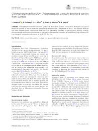 Image result for Crepidorhopalon parviflorus