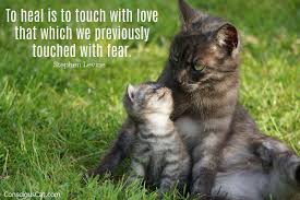 Check spelling or type a new query. Sunday Quotes Heal The Conscious Cat