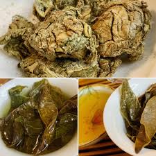 Agarwood leaves can also lose weight. Agarwood Tea The Tea Guru