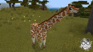 Dec 16, 2020 · zawa o zoo & wild animals mod para minecraft 1.12.2 añade muchísimos de los animales que ya están en minecraft 1.17, pero a su propia manera. Giraffes Add On Minecraft Pe Mods Addons