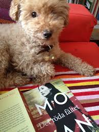 Från Grace till Mo Yan